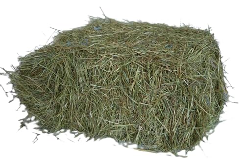 agrar-Store Foin de prairie 7 kg Foin de prairie 1ère coupe Foin de lapin Foin de cochon d'Inde Paille