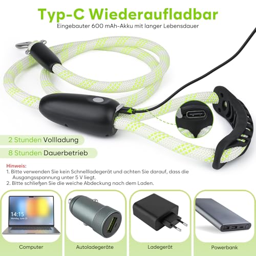 Sugiifamy LED Hundeleine, Wiederaufladbar Hundeleine für große, mittelgroße und kleine Hunde, 13 Beleuchtungsmodi mit Silikongriff, Sicherheit beim nächtlichen Spazierengehen (1.2M)