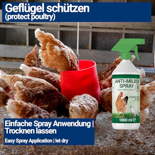 3X 1000ml Milbenspray für Geflügel wie Hühner & Vögel - Sofort & Langfristig gegen Parasiten, bei Akut & Vorbeugung (3X 1000ml)