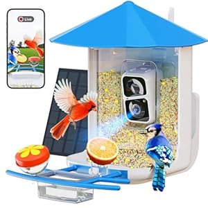 Smart Bird Feeder with Camera,Wireless Wild Bird Feeders, 160° Wide View Auto Capture Bird Videos & Motion Detection,AI Identify, DIY Add-ons & Hummingbird Feeder,Gift for Bird Lover