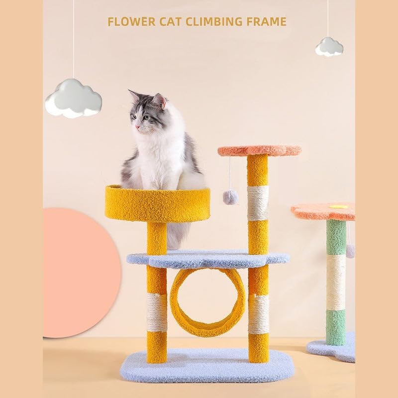 review Happy & Polly 25.6