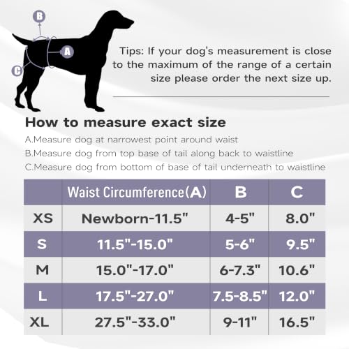 Image of Paw Legend Reusable Female Dog Diapers(3 Pack,Black,Medium)