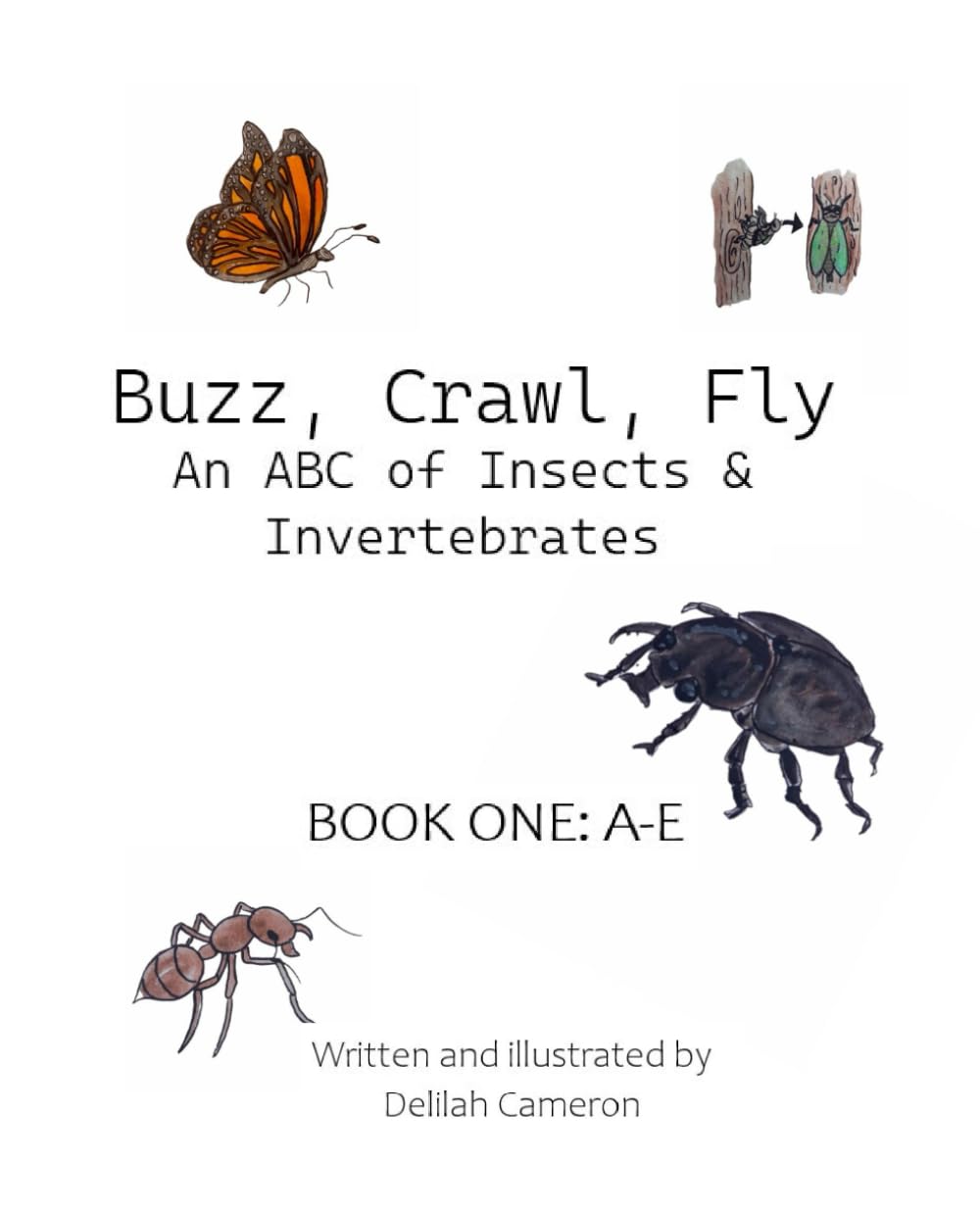 Buzz, Crawl, Fly - An ABC of Insects & Invertebrates: Book One: A-E