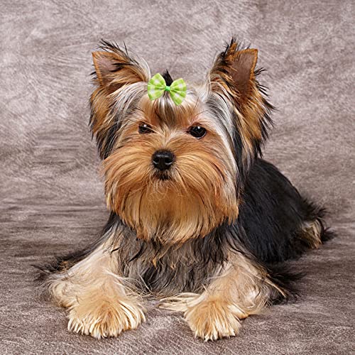 Pet Show PETSHOW0241 20Pairs Big Bowknot Dogs Hair Bow Clips With French Barrette Clip thumb #6