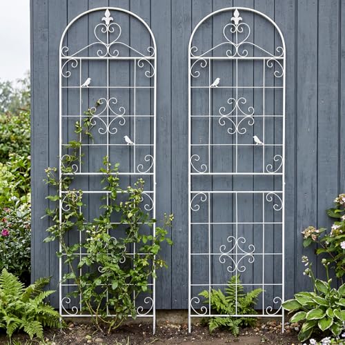 Garden Trellis for Climbing Plants Outdoor Maidapulu 2 Pack 70.8x19.6 Inch White Metal Trellis - Rustproof Lattice Support Panel with Easy Assembly for Roses Clematis Cucumbers Vegetable Garden