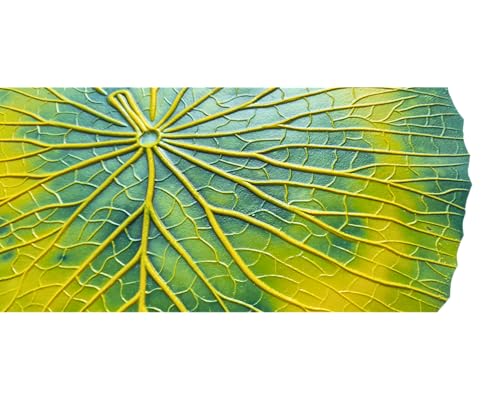 Feuille décorative Vitoria-Regia en latex bio pour centre de table durable - 3