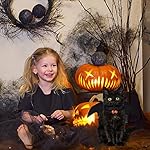 Yujun cat halloween costume pets bat wing with pumpkin shaped jingle bells accessory for puppy kitten halloween party costume supplies 12 51ys37v+qol. Sl500. Ss150