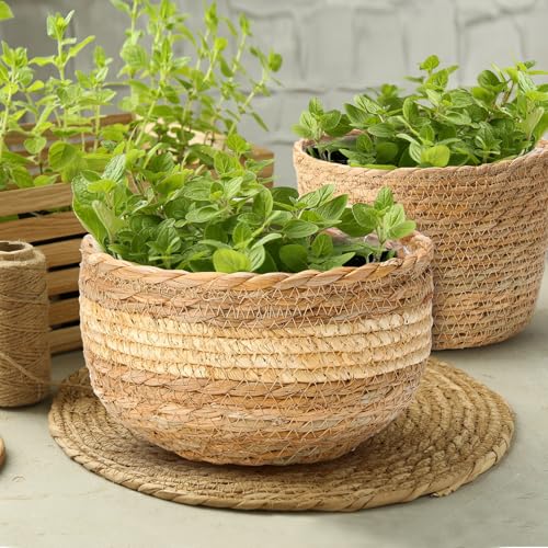Sieral 5 Pcs Seagrass Planter Basket Large Plant Pots Indoor Flower Pots Cover Plant Baskets, 12+10+8+7+6 Inch Hand Woven Plant Basket Storage Plant Containers with Plastic Liners