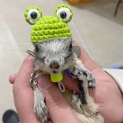 Mini Hand Knitted Hat For Small Animals Pets Like Snakes Lizards Syrian Hamsters Bearded Dragons Fancy Rats Sugar Gliders For Holiday Parties (Frog) #TOP6