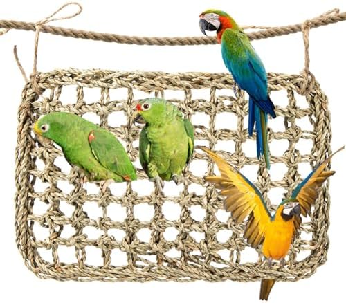 bird toy for budgerigar that will surprise your feathered friend 8 MAQIHAN Seagrass Mat for Birds - Bird Toys Seagrass Mats Foraging Activity Play Grass Mat Bird Climbing Wall Seagrass Net Hammock Toy for Medium Parakeets Lovebirds Finch Budgerigars Conure Cockatiel