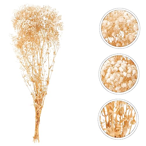 Ramilletes de flor Gypsophila seca natural para decoración miniatura 7