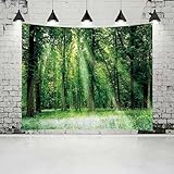 [KMBIGNK] タペストリー 壁掛け 壁飾り 林間道路 森 涼しく デザイン2 自然景色 オシャレ 背景 180*150cm 多機能 布ポスター インテリア 雰囲気転換 多機能壁掛け ファブリック装飾用品 風景写真タペストリー おしゃれ モダンなアート