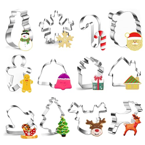 Moldes de Biscoitos, 12 Peças em Aço Inoxidável com Árvore de Natal, Floco de Neve, Pai Natal, Bastão de Caramelo, Formas de Biscoitos para Inserir no Calendário de Advento