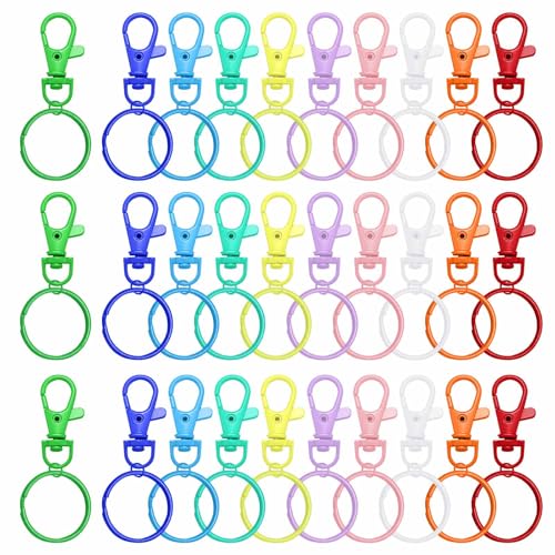 Anillas Llaveros,Mosquetones Pequeños,30 Piezas Anillas Para Llaveros,Llavero Mosqueton,Keychain,Anillas Llavero Para Bisuteria Artesanías