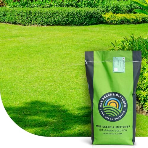 Perfection: Graszaad voor siergazons - 1 kg voor 50 m² - Fijnbladig en elegant gras - Ook geschikt voor schaduwrijke plekken