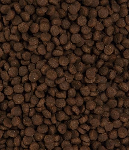 Dehner Premium Katzenfutter Sensitive, Trockenfutter getreidefrei, für ausgewachsene ernährungssensible Katzen, Pute, 2 kg