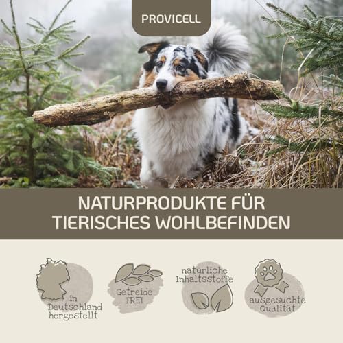 Provicell para-Z-Vital | Mit Tierärzten in Deutschland entwickelt & hergestellt | Schutz für den Hund ohne Chemie | 120 Tabletten