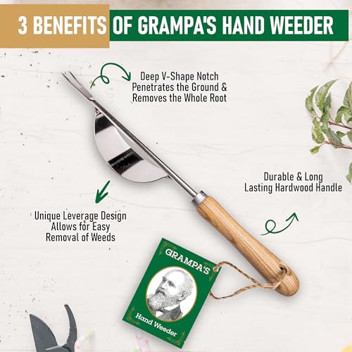 Grampa's Hand Weeder Tool - The Perfect Lightweight Easy to Use Weed Puller Tool for Garden - Durable Unique Lever Design with V-Shaped Forks Allows for Easy Removal of Weeds & Their Roots by Grampa's Weeder - Image 3