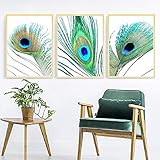  Yangld Belles Plumes Affiches et Gravures Mur Photos Coloré Plume Moderne Mur Art Toile Peinture pour Salon Décor À La Maison 15.7 \