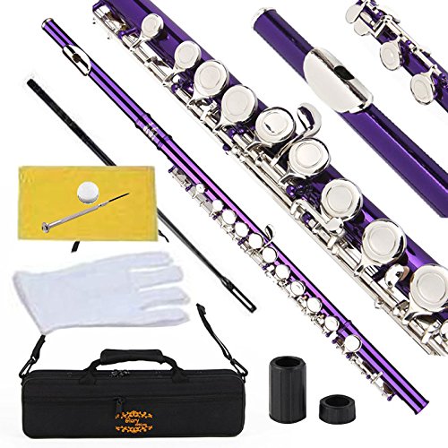 Amazon.com: Glory Closed Hole C Flute With Case, Tuning Rod and