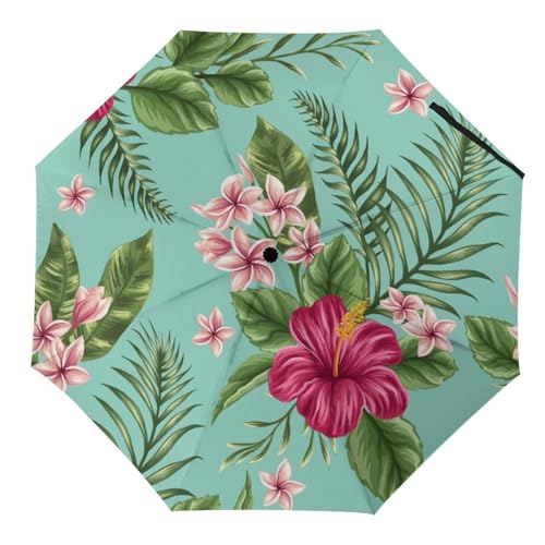Parapluie pliable hawaïen automatique pour briser la grisaille