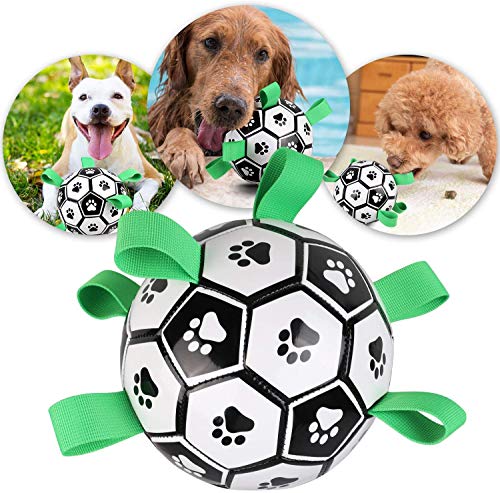 Yangers hond speelgoed voetbal, menselijke hond outdoor park interactie oefening kick gooien halen ballen voor kleine middelgrote grote honden