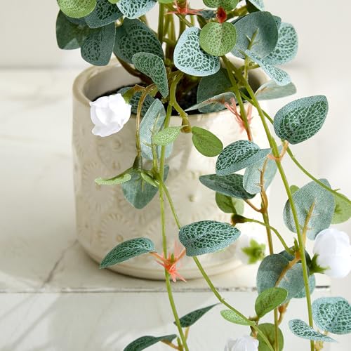 Image of Home Centre Gloria Drape Artificial Rose Bud Hanging Creeper in Ceramic Pot