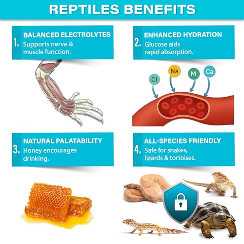 View 4
