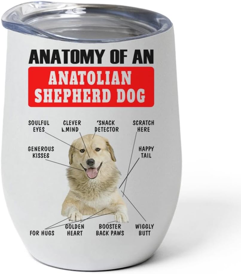 Red Fawn Anatolian Shepherd Dog Tumbler 12oz - Funny Anatomy Chart Design - Stainless Steel Vacuum Insulated Wine Cup With Lid - Gifts for Dog Lovers
