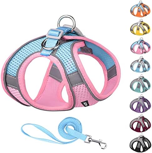 AIITLE Step in Dog Harness and Leash Set - Reflective No-Pull Pet Vest Harness with Super Breathable Mesh for Outdoor Walking, Training for Small Dogs, Cats Pink XXS