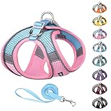 AIITLE Step in Dog Harness and Leash Set - Reflective No-Pull Pet Vest Harness with Super Breathable
