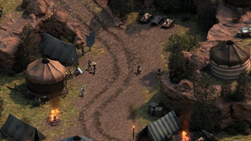 Pillars of Eternity Expansion Pass Code Steam PC Mac complet - 5