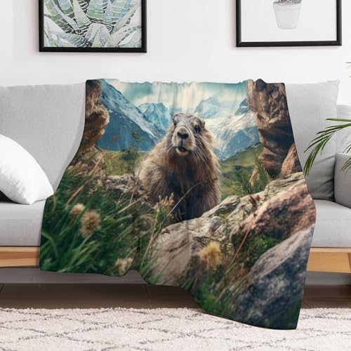 Manta de franela de marmota que no suelta pelusa para pieles sensibles en sofa o cama 3