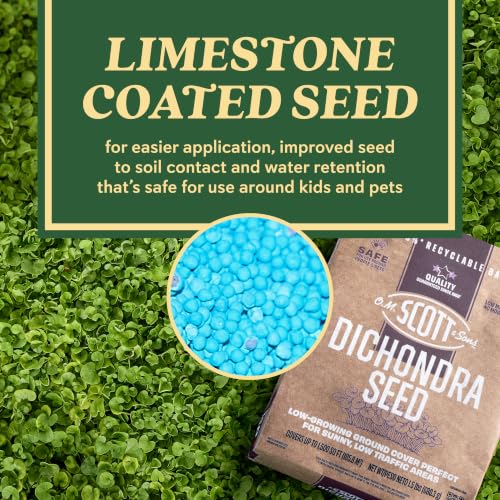 Image of O.M. Scott & Sons Dichondra Seed, 1.5 lbs.