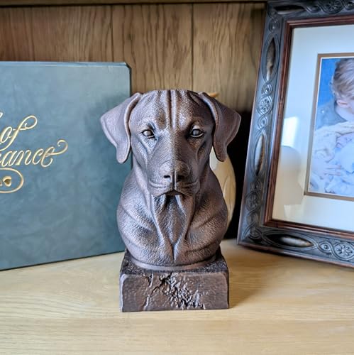 Estatua de Bronce de Perro Pointer Alemán 20 cm miniatura 7