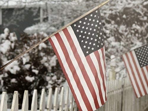 Eder Flag - Endura-Nylon with Vertical Stitching & Reinforced Corners - Proudly Made in The USA - Durable - Fade-Resistant - All Weather Durable Heavy Duty Open Weave (15 X 25)
