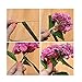 Fomei 2 Packs Floral Arrangement Kit 1/2 Inch Floral Tape, 22 Gauge Floral Wire and 100 Pieces Ball Head Pins