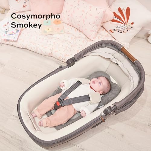 Babymoov Cosymorpho Universal Travel Cushion Baby Gear Insert for Newborns and Infants (0-4 MONTHS) - Image 3