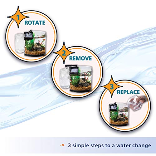 Aqueon LED MiniBow Small Aquarium Fish Tank Kit with SmartClean Technology, Black, 5 Gallon - Image 4