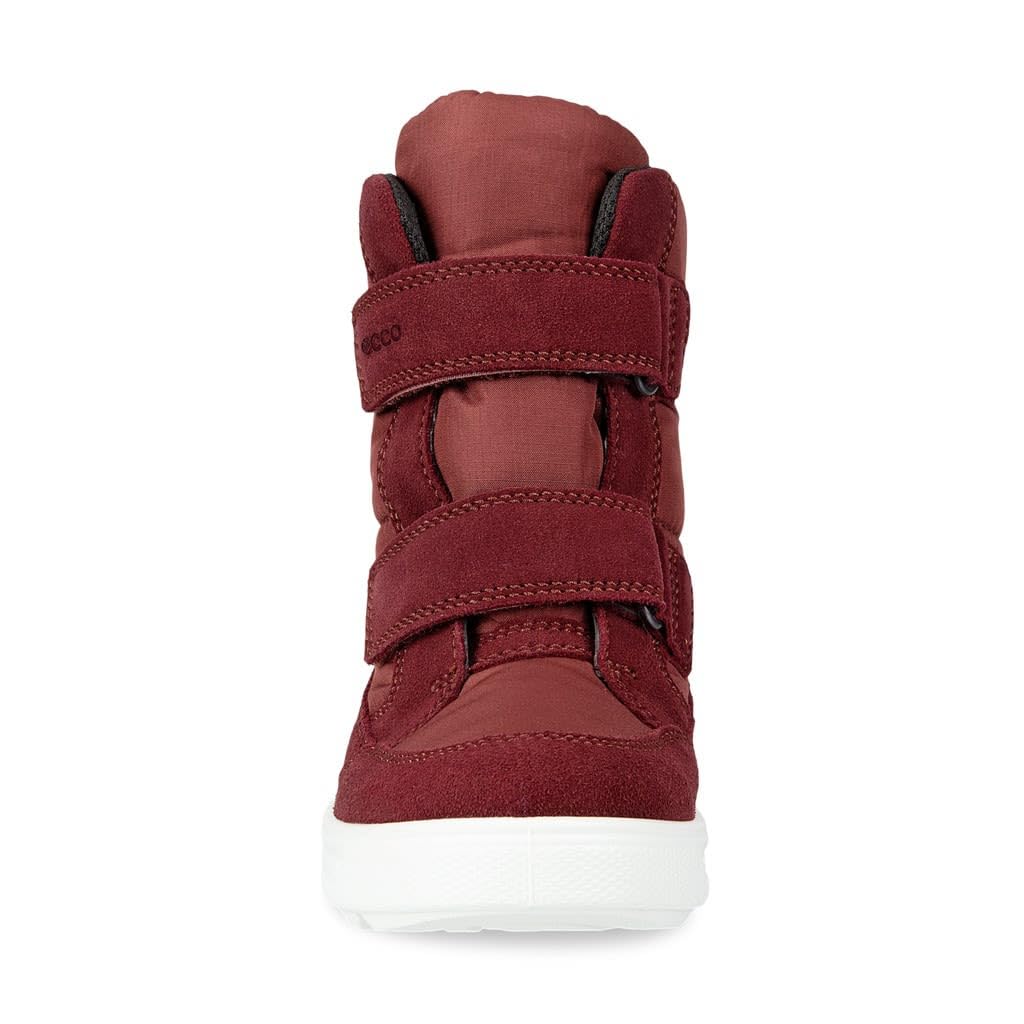 ECCO Urban Snowboarder, Snowboarders Urbanos