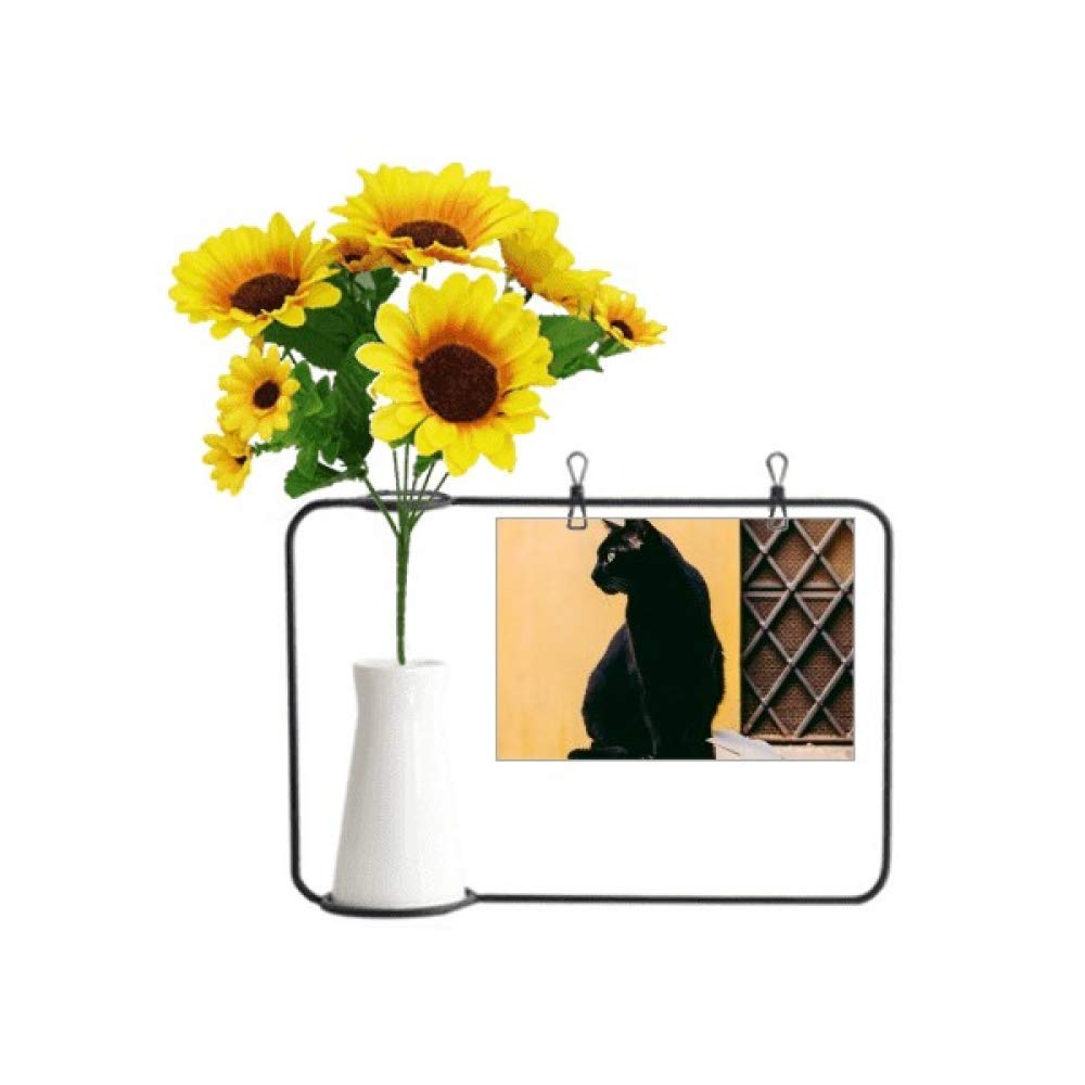 Chat noir avec tournesol artificiel : cadeau déco bouteille et carte de vœux