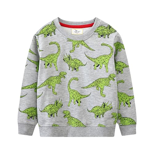 Boys Sweatshirts Casual Sweatshirts Cotton Sweatshirts Long Sleeve T-shirts Crew Neck Cartoon Tops for Boys-43