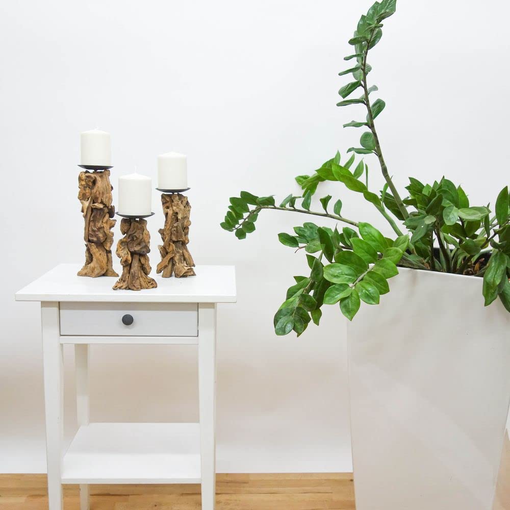 AquaOne Kerzenständer 3er Set I Treibholz Natur Stumpenkerzen Ständer Größe M L XL I Naturholz Rustikal I Holz Möbel Deko I Handarbeit Unikat Wurzel Braun