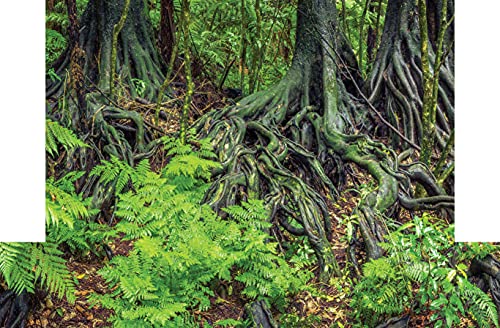 Reptile Habitat Background; Rain Forest Ferns & Roots, for Bio Deep Hybrid 24Lx24Wx48H Terrarium, 3-Sided Wraparound