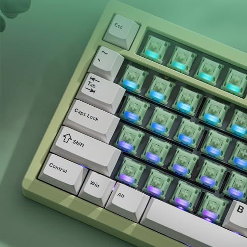 Image of MELETRIX WS Jade Mechanical Keyboard Switches 5 Pins PCB Mount Lubed Switches(35pcs)