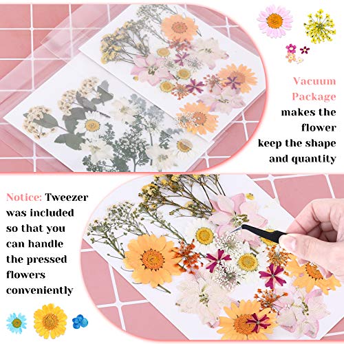 102Pcs Dried Pressed Flowers for Resin, Real Dried Flowers Leaves Bulk for Resin Molds Natural Dry Herbs Kit for Scrapbooking, Jewelry, Candle, Soap Making, Nails Décor, Art Supplies,Tweezers Included