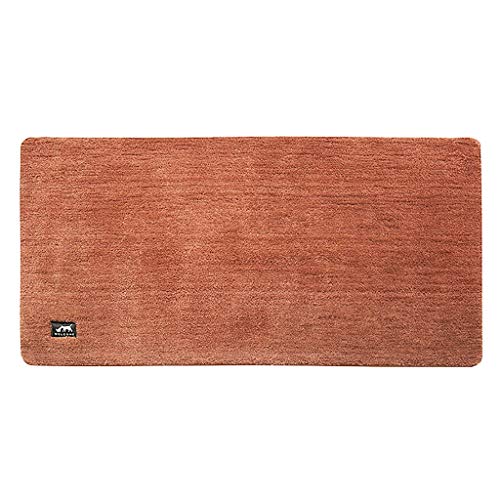 Carpet Shampooers Reviews » Blog Archive » Bissell Big Green Deep