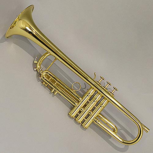 Amazon | QueenBrass Virtuoso トランペット クイーンブラス