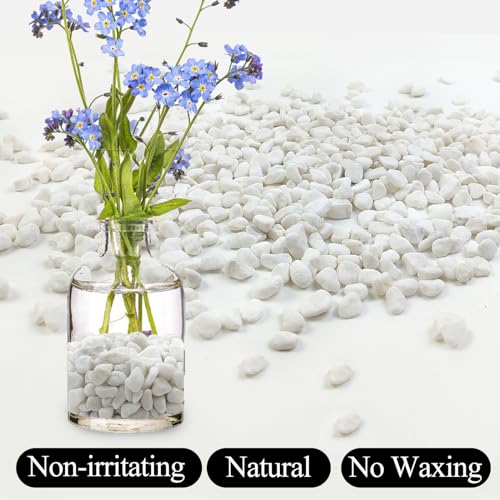 Image of 20lbs White Pebbles for Landscaping, 3 /8inch Small Rocks for Gardening Succulent Cactus Planters, Natural Polished Pebbles, River Rocks for Plants, Vases