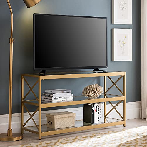 Hutton Rectangular TV Stand for TV's up to 50" in Brass Beachfront Decor